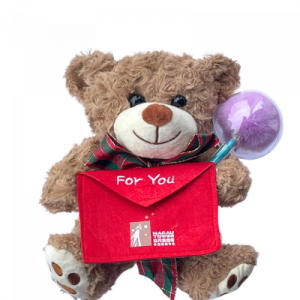 Message Bear Plush Toy